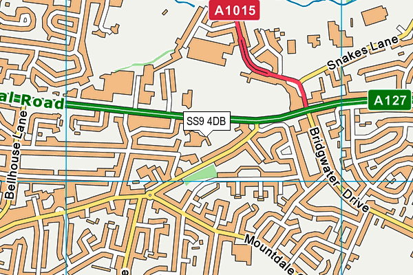 SS9 4DB map - OS VectorMap District (Ordnance Survey)