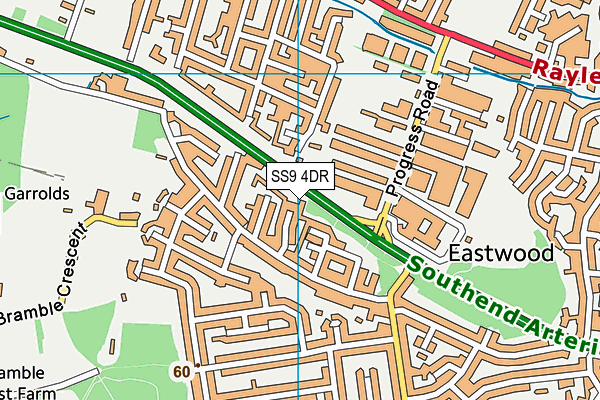 SS9 4DR map - OS VectorMap District (Ordnance Survey)