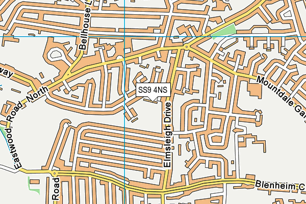 SS9 4NS map - OS VectorMap District (Ordnance Survey)