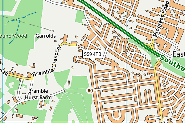 SS9 4TB map - OS VectorMap District (Ordnance Survey)