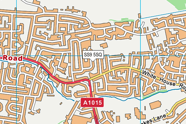 SS9 5SQ map - OS VectorMap District (Ordnance Survey)