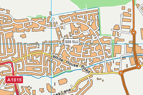 SS9 5UJ map - OS VectorMap District (Ordnance Survey)