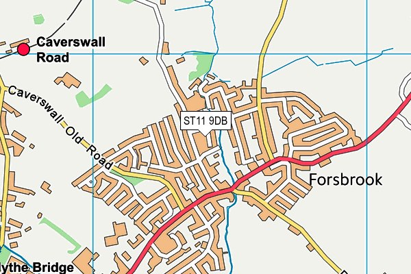 ST11 9DB map - OS VectorMap District (Ordnance Survey)