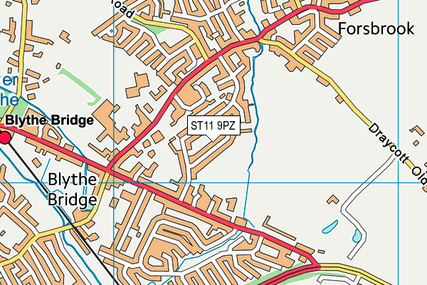 ST11 9PZ map - OS VectorMap District (Ordnance Survey)