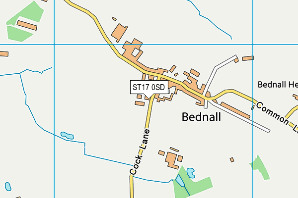 All Saints CofE Primary School, Bednall map (ST17 0SD) - OS VectorMap District (Ordnance Survey)