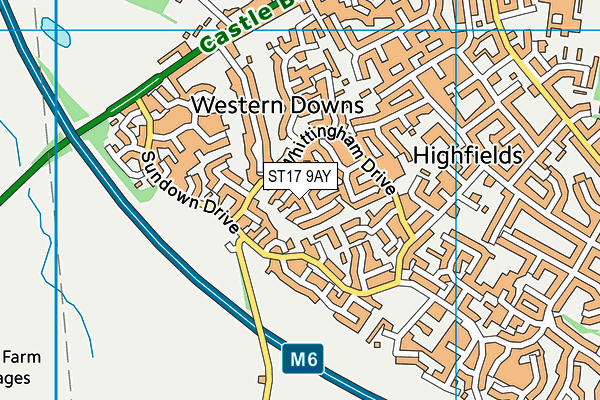 ST17 9AY map - OS VectorMap District (Ordnance Survey)