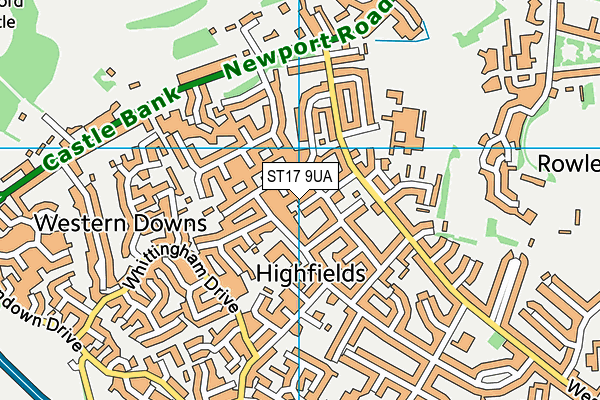 ST17 9UA map - OS VectorMap District (Ordnance Survey)