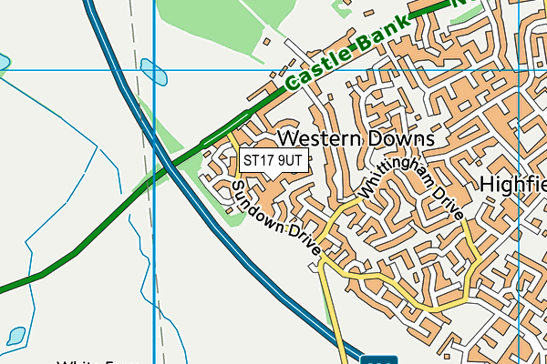 ST17 9UT map - OS VectorMap District (Ordnance Survey)