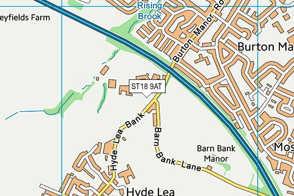 Burton Manor Sports Association map (ST18 9AT) - OS VectorMap District (Ordnance Survey)