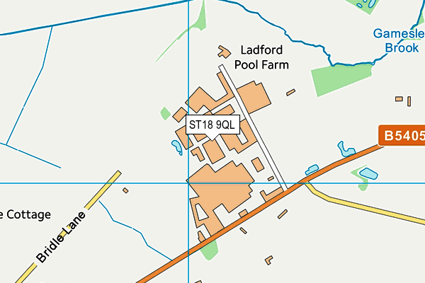 ST18 9QL map - OS VectorMap District (Ordnance Survey)