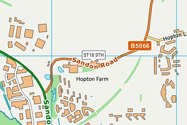 ST18 9TH map - OS VectorMap District (Ordnance Survey)