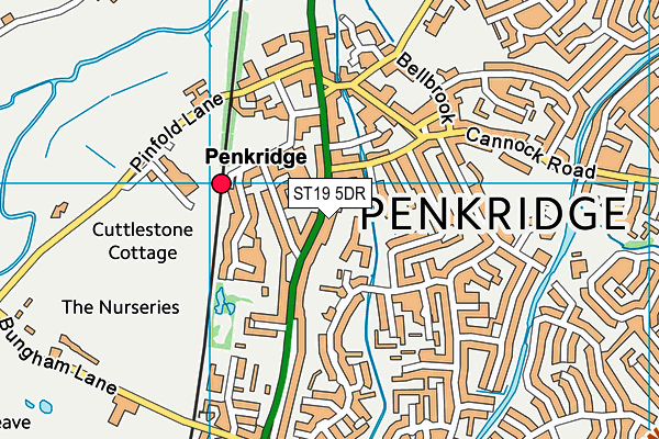 ST19 5DR map - OS VectorMap District (Ordnance Survey)