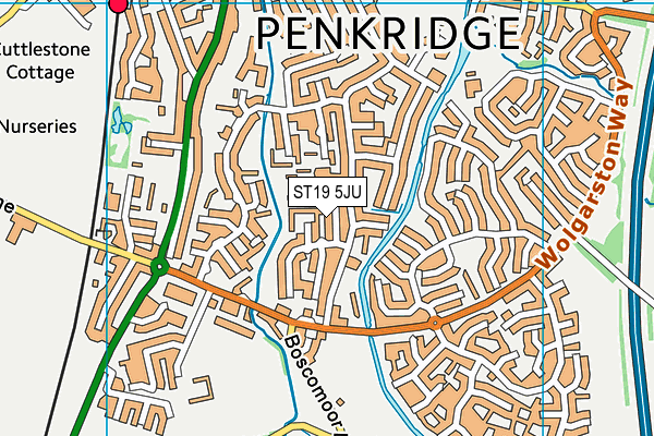 ST19 5JU map - OS VectorMap District (Ordnance Survey)