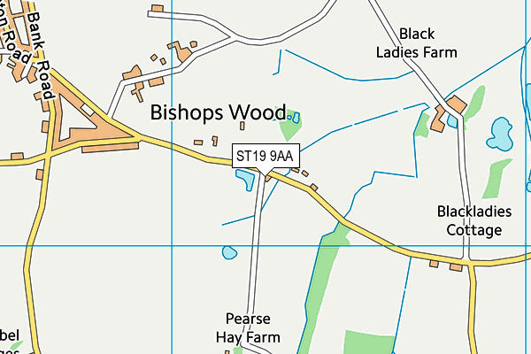 ST19 9AA map - OS VectorMap District (Ordnance Survey)