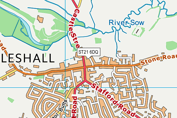 ST21 6DQ map - OS VectorMap District (Ordnance Survey)