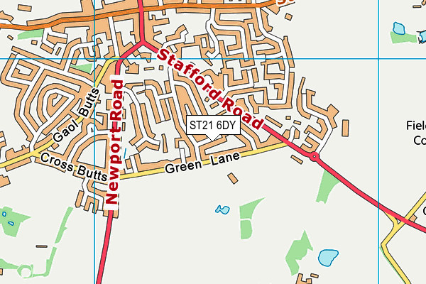 ST21 6DY map - OS VectorMap District (Ordnance Survey)
