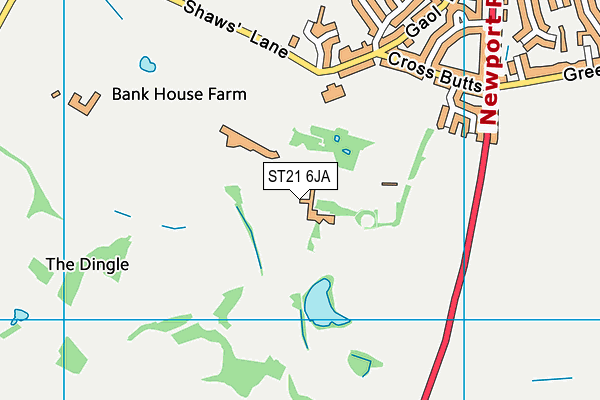 ST21 6JA map - OS VectorMap District (Ordnance Survey)