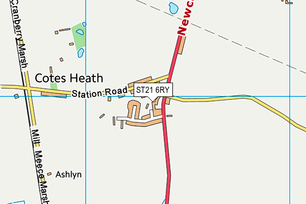 ST21 6RY map - OS VectorMap District (Ordnance Survey)