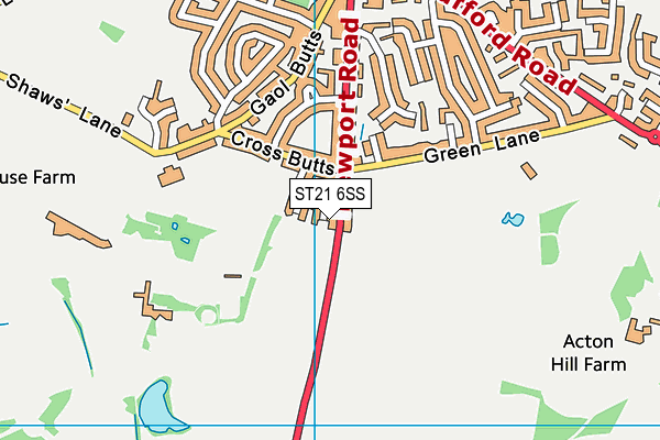 ST21 6SS map - OS VectorMap District (Ordnance Survey)