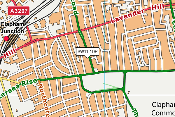 SW11 1DP map - OS VectorMap District (Ordnance Survey)