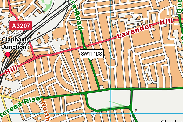 SW11 1DS map - OS VectorMap District (Ordnance Survey)