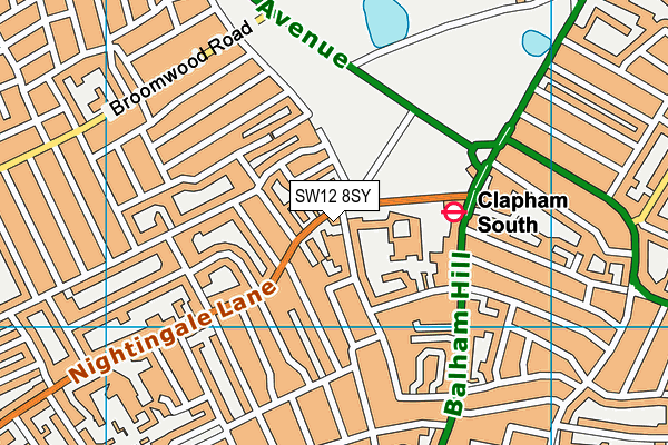 SW12 8SY map - OS VectorMap District (Ordnance Survey)