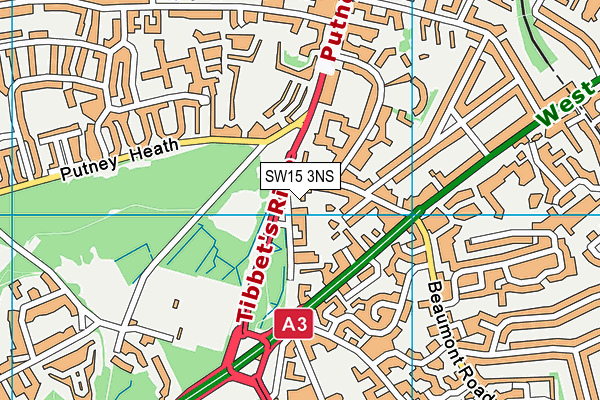 SW15 3NS map - OS VectorMap District (Ordnance Survey)