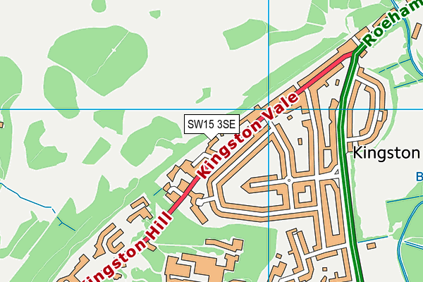 SW15 3SE map - OS VectorMap District (Ordnance Survey)