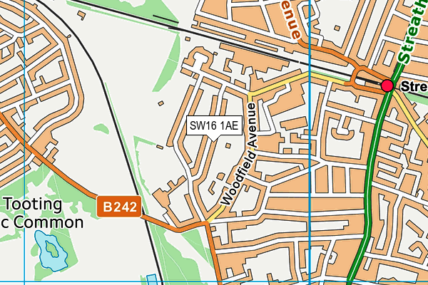 SW16 1AE map - OS VectorMap District (Ordnance Survey)