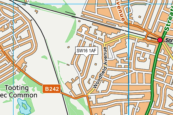 SW16 1AF map - OS VectorMap District (Ordnance Survey)