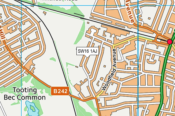 SW16 1AJ map - OS VectorMap District (Ordnance Survey)