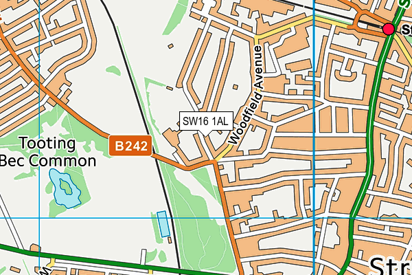 SW16 1AL map - OS VectorMap District (Ordnance Survey)