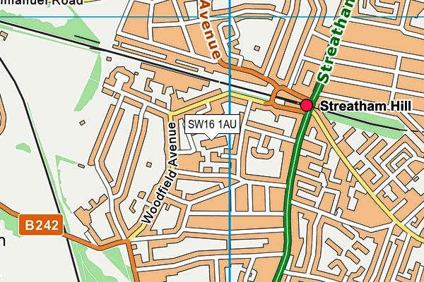 SW16 1AU map - OS VectorMap District (Ordnance Survey)