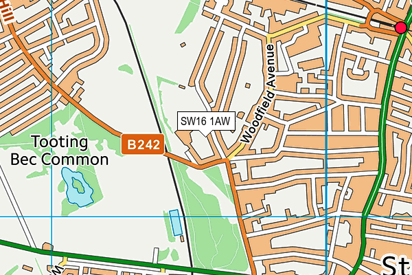 Streatham & Clapham High School map (SW16 1AW) - OS VectorMap District (Ordnance Survey)