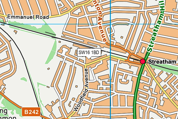 SW16 1BD map - OS VectorMap District (Ordnance Survey)