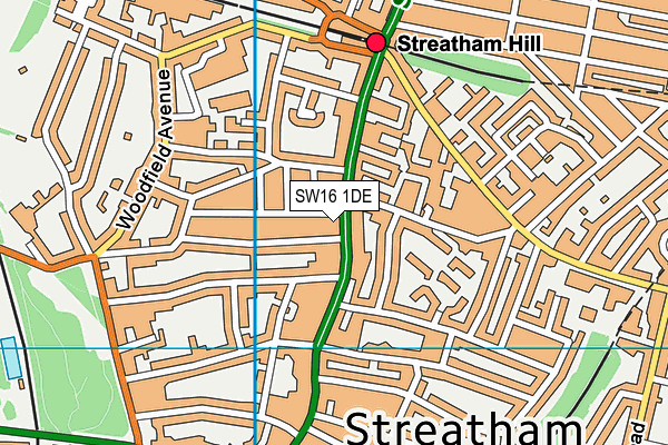 SW16 1DE map - OS VectorMap District (Ordnance Survey)