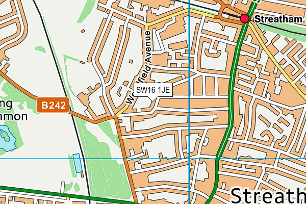 SW16 1JE map - OS VectorMap District (Ordnance Survey)