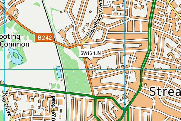 SW16 1JN map - OS VectorMap District (Ordnance Survey)