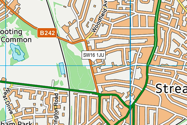 SW16 1JU map - OS VectorMap District (Ordnance Survey)