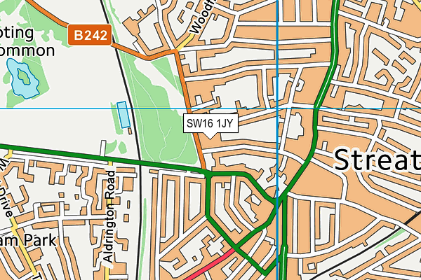 SW16 1JY map - OS VectorMap District (Ordnance Survey)