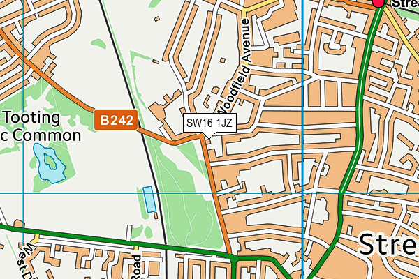 London Park School Clapham map (SW16 1JZ) - OS VectorMap District (Ordnance Survey)