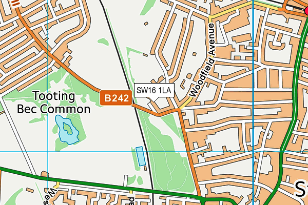 SW16 1LA map - OS VectorMap District (Ordnance Survey)