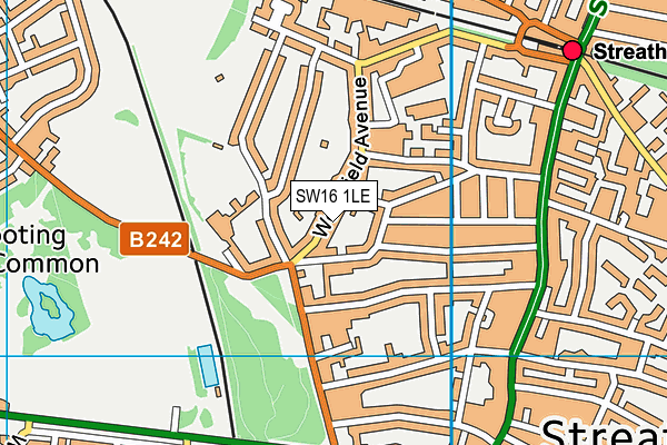 SW16 1LE map - OS VectorMap District (Ordnance Survey)