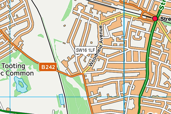 SW16 1LF map - OS VectorMap District (Ordnance Survey)