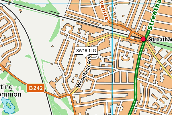 SW16 1LG map - OS VectorMap District (Ordnance Survey)