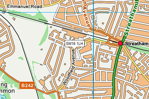 SW16 1LH map - OS VectorMap District (Ordnance Survey)