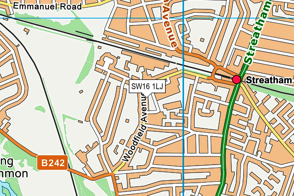 SW16 1LJ map - OS VectorMap District (Ordnance Survey)