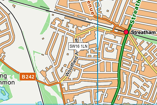 SW16 1LN map - OS VectorMap District (Ordnance Survey)
