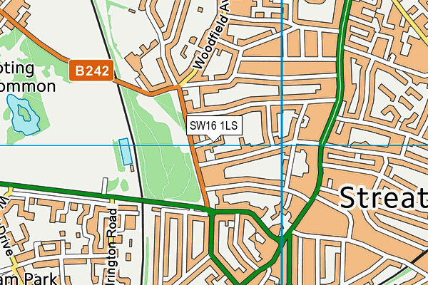 SW16 1LS map - OS VectorMap District (Ordnance Survey)