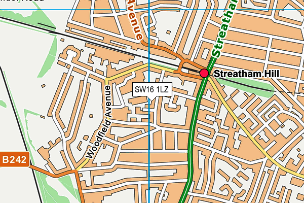 SW16 1LZ map - OS VectorMap District (Ordnance Survey)